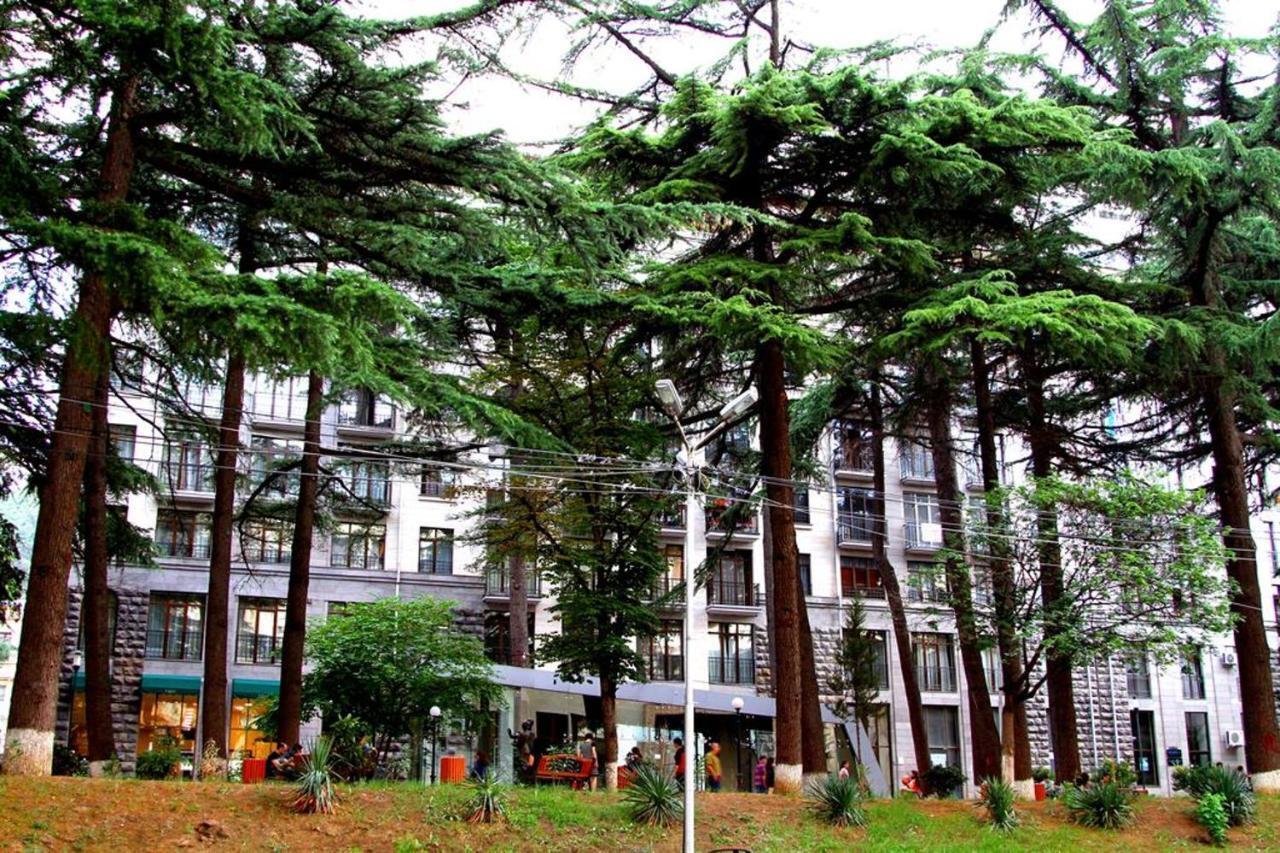 Tbilisi Sweet Home Apartment מראה חיצוני תמונה